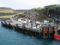 Canna port