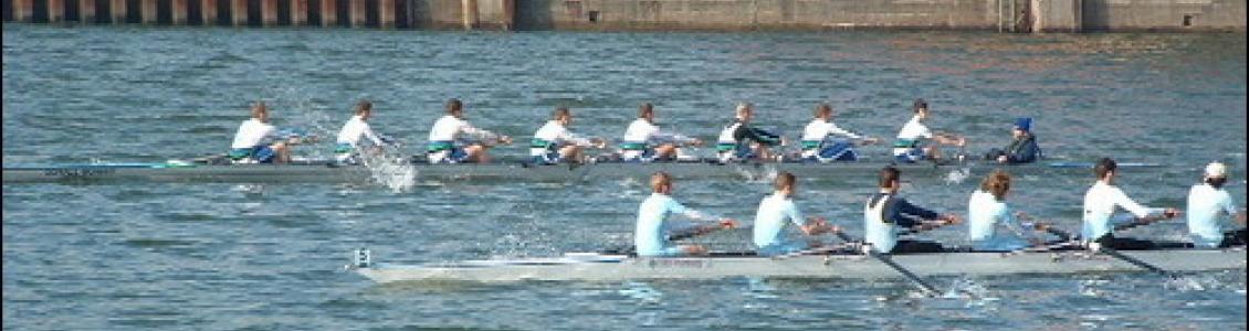 image of rowers in a boat because non-transport businesses also book ferries for their freight needs